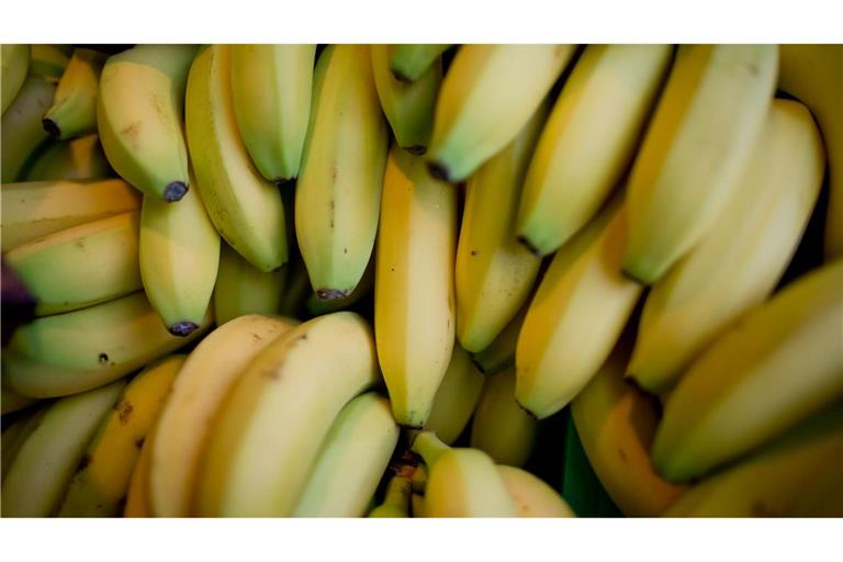 Nach einer Beschwerde beim Discounter Aldi haben Bananenarbeiter in Costa Rica Entschädigungszahlungen erhalten. (Symbolbild)