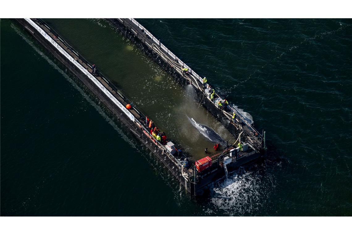 Nach langem Bangen setzte sich die Barge mit dem Wal in Bewegung.