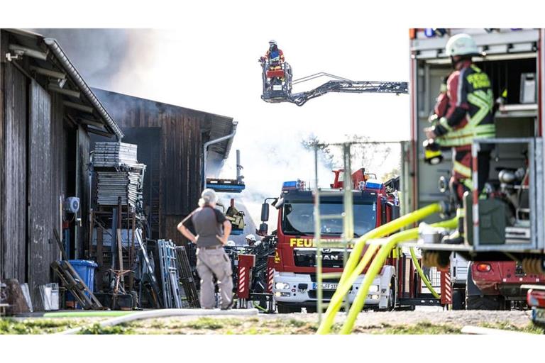 Nach neuen Erkenntnissen verendeten bei dem Feuer etwa 400 Tiere.
