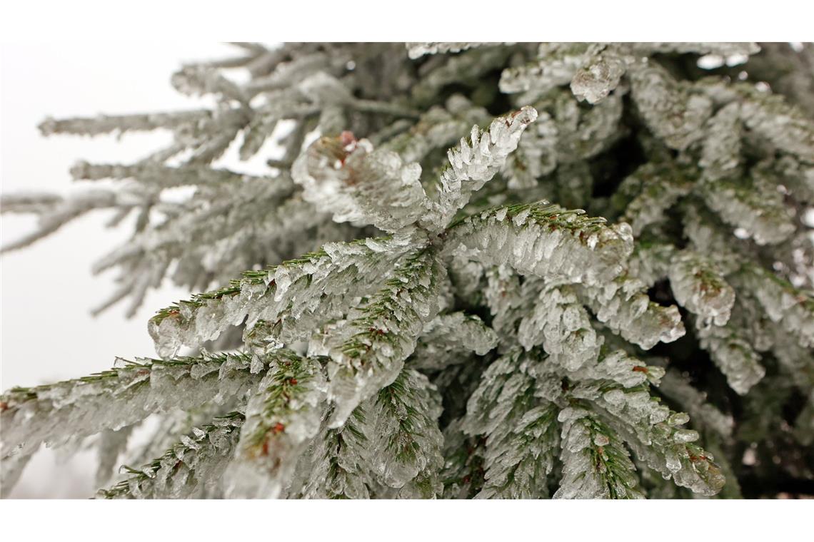 Erst Schmuddelwetter, dann Schnee im Südwesten erwartet Nach viel Regen soll es am Wochenende in Teilen Baden-Württembergs schneien – und glatt werden. (Symbolfoto)