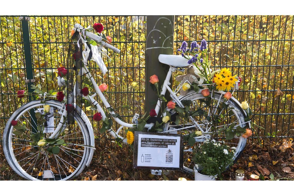 Nach vorläufiger Statistik war jeder sechste (16,4 Prozent) im Straßenverkehr getötete Mensch mit dem Fahrrad unterwegs. (Archivbild)