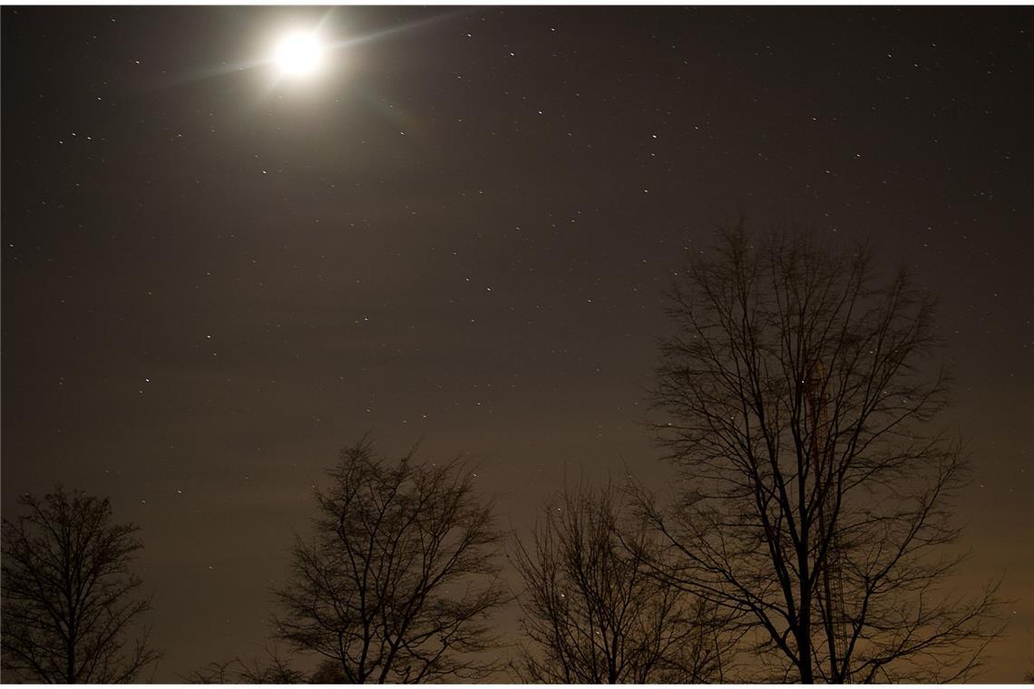 So können auch Sie in der Wildnis überleben Nacht: Die Natur hat ihre eigenen Geräusche, die – wenn man sie nicht kennt – beunruhigen können.