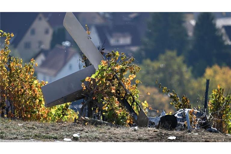 Nahe einem Hofgut in einem Weinberg in Gundelsheim (Landkreis Heilbronn) ist ein Kleinflugzeug abgestürzt und in Brand geraten.