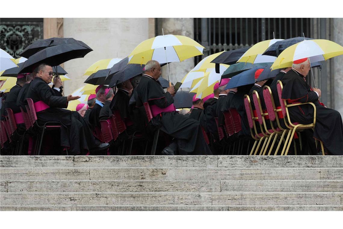 Nasse Segensstunde: Geistliche mit Schirmen bei Papst Leo XIV.“