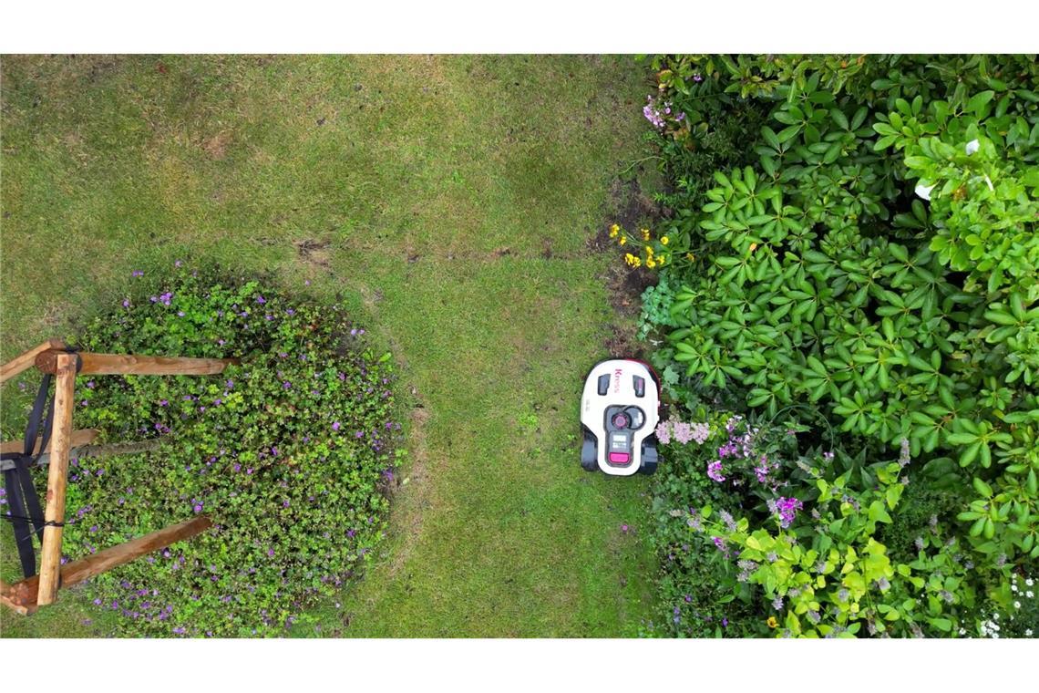 Mähroboter-Käufe um 45 Prozent gestiegen Naturschützer warnen davor, dass Mähroboter eine Gefahr sein können - vor allem für nachtaktive Tiere. (Symbolbild)