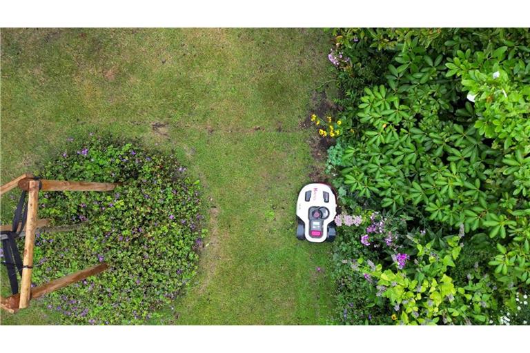 Naturschützer warnen davor, dass Mähroboter eine Gefahr sein können - vor allem für nachtaktive Tiere. (Symbolbild)