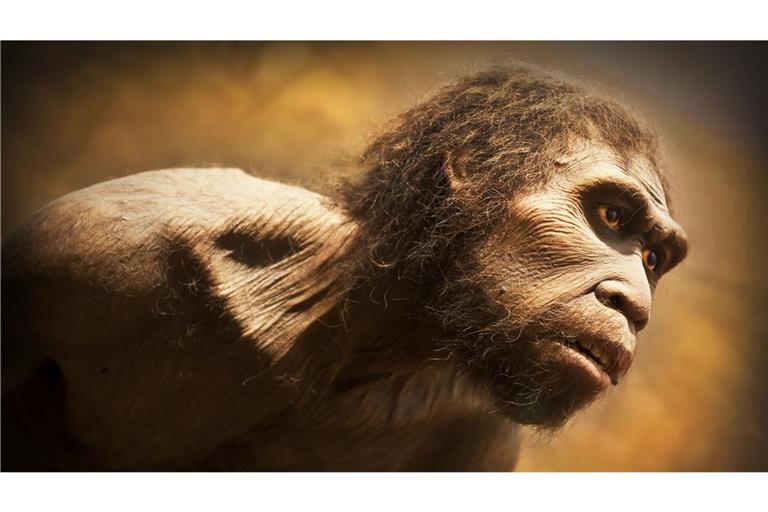 Neandertaler kümmerten sich um Kranke und Alte aus ihrer Gruppe. Doch sie hatten auch eine andere, kannibalistische Seite: Sie aßen teilweise ihre Artgenossen.