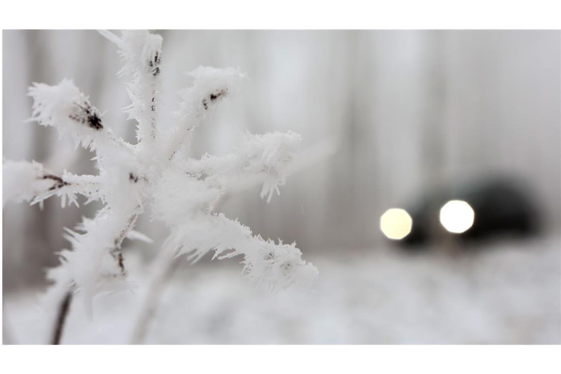 Achtung! Es wird wieder eiskalt und glatt Nebel liegt über der Landschaft eines Waldstückes im Oberharz bei Elbingerode.