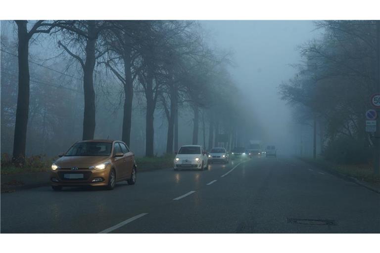 Nebel und Hochnebel prägen das Wetter in Baden-Württemberg. (Archivbild)