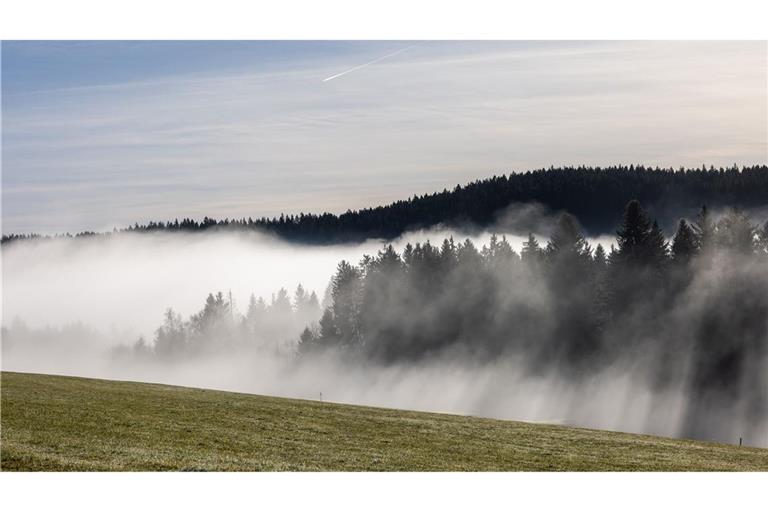 Nebel zieht durch den Wald  im Hochschwarzwald (Symbolbild).