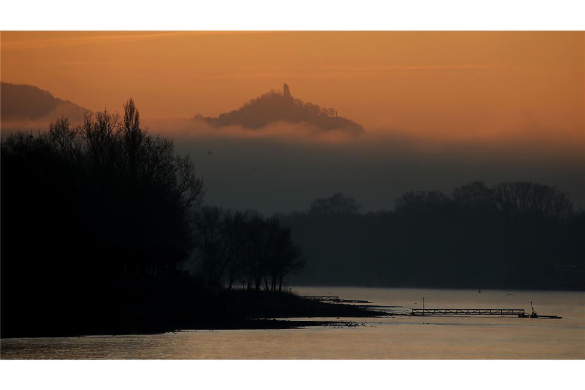 Nebelschwaden ziehen vor der Burg Drachenfels über den Rhein bei Bonn.