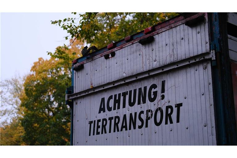 Neben Affen und Zebras fanden die Beamten noch weitere exotische Tiere in dem Transporter. (Symbolfoto)