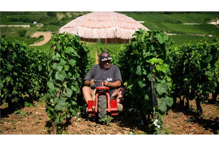 Neben Lieferdiensten und Bauarbeitern ist die Landwirtschaft besonders von Hitze betroffen. (Archivbild)