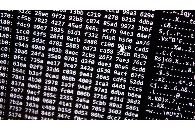 Neue Tools ermöglichten einen Schlag gegen ein Betrugs-Netzwerk im Darknet. (Symbolbild)