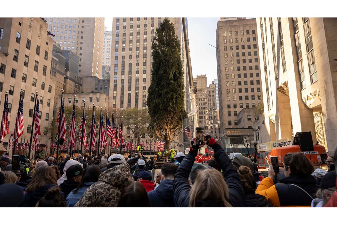Bilder des Tages New York: Weihnachtsbaum am Rockefeller-Center wird aufgestellt