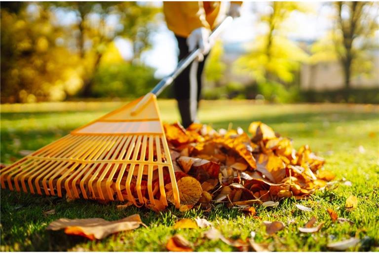 Nicht alle Arbeiten sind an Allerheiligen erlaubt.