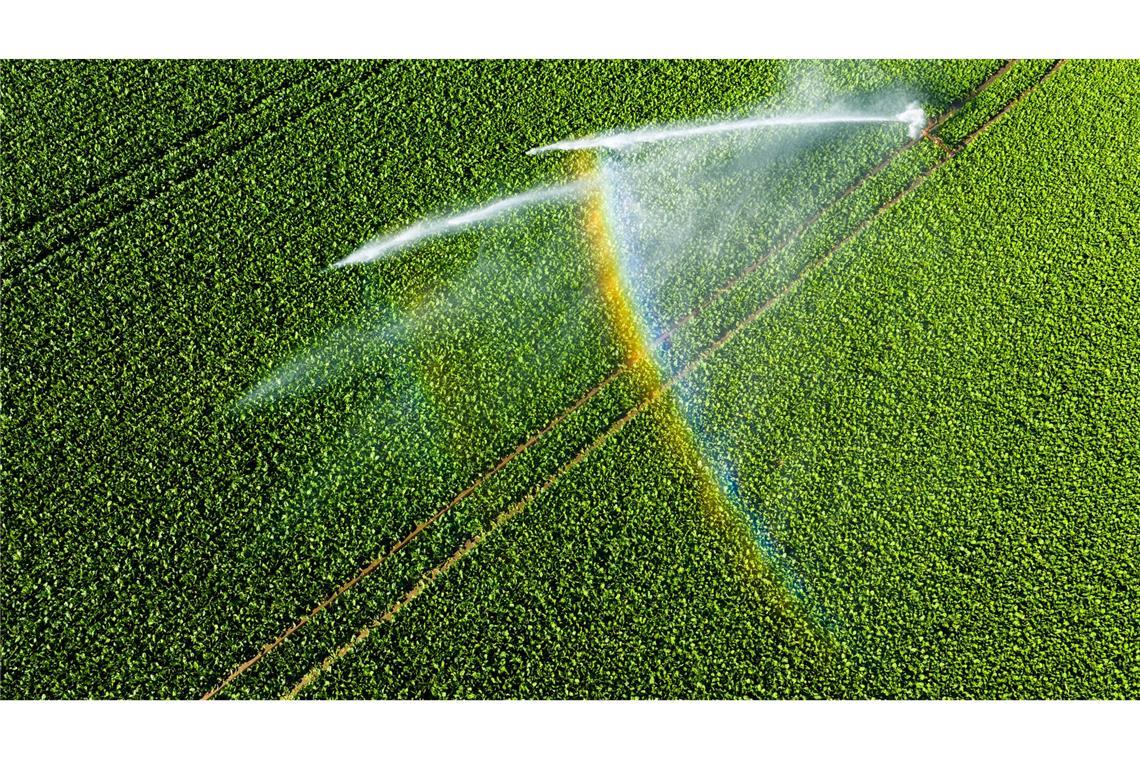 Bauern reagieren auf Trockenheit: Mehr Bewässerung und Soja Nicht einmal fünf Prozent der landwirtschaftlichen Fläche kann bewässert werden.