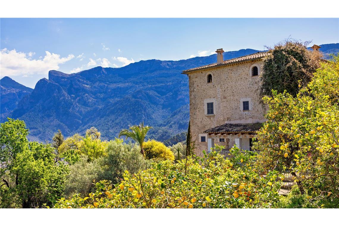 Nicht Italien und nicht der Orient: „Kennst du das Land, wo die Zitronen blühen?“