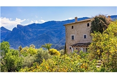 Nicht Italien und nicht der Orient: „Kennst du das Land, wo die Zitronen blühen?“