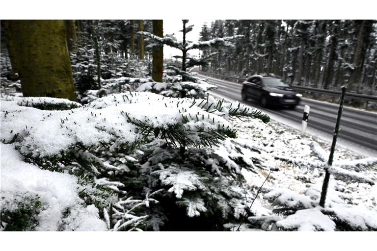 Nicht nur im Sauerland fielen zu Wochenbeginn erste Schneeflocken.