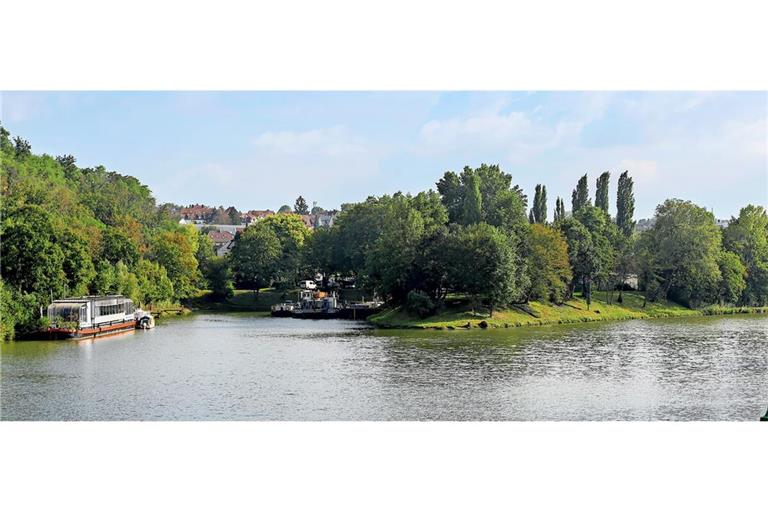 Nicht überall ist der Neckar so nah und erlebbar wie hier in Bad Cannstatt.