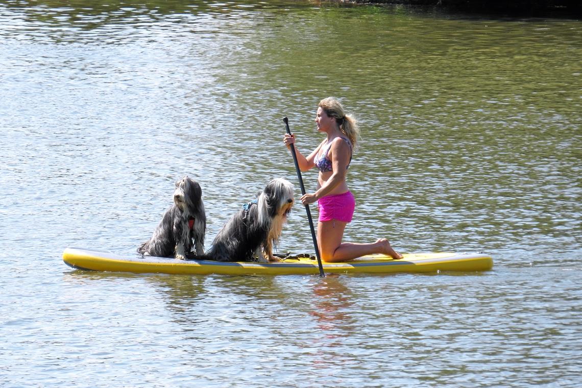 Im Stand-up-Paddling-Eldorado Nicht wenige sind auch mit ihren Vierbeinern paddelnd auf dem See anzutreffen. Dieses Trio ist beeindruckend souverän unterwegs.