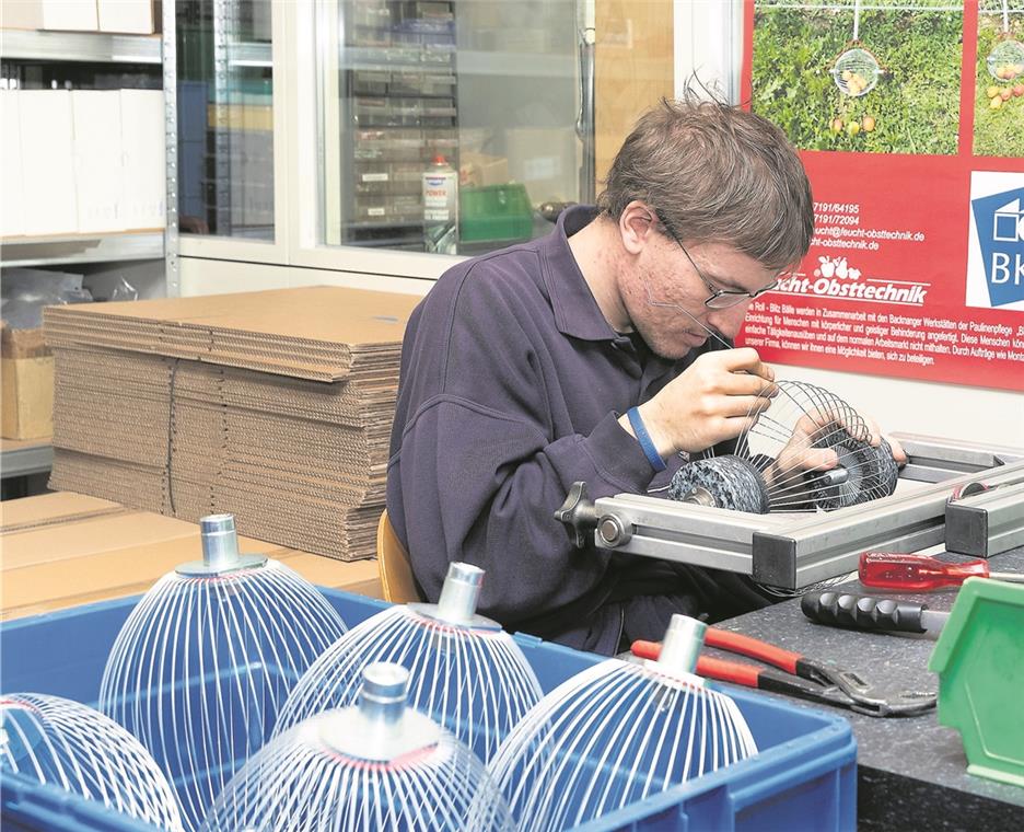 Sie bauen Apfelsammler und Stoßdämpfer