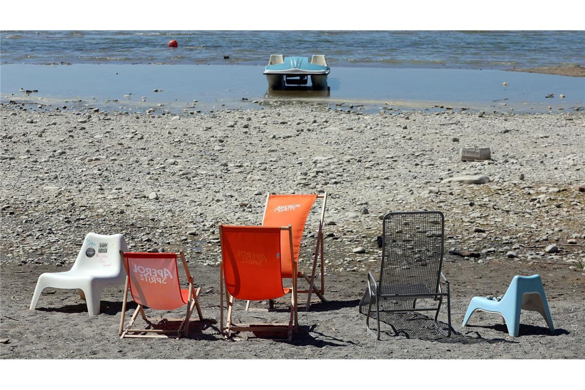 Bilder des Tages