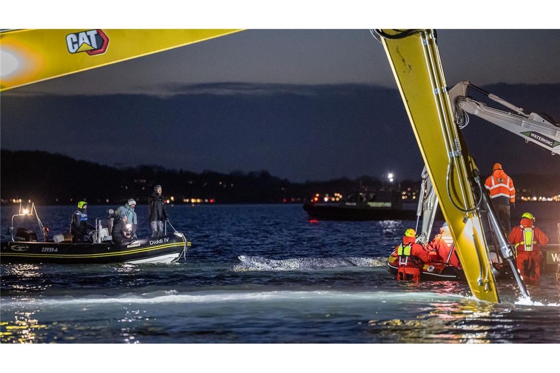 Noch bei Dunkelheit und in Scheinwerferlicht arbeiteten die Helfer an der Befreiung des Meeressäugers.