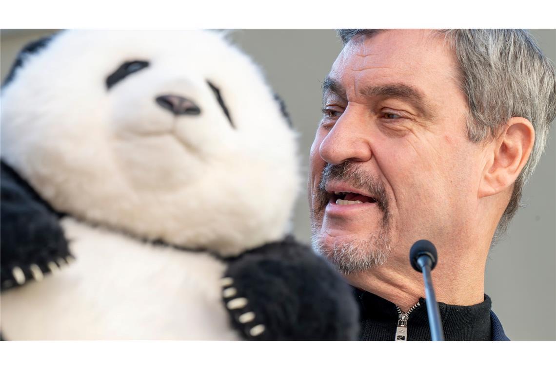 Noch hat Söder (r) nur einen Plüschbären in seinem Büro, doch spätestens 2028 soll es echte Tiere in München geben.