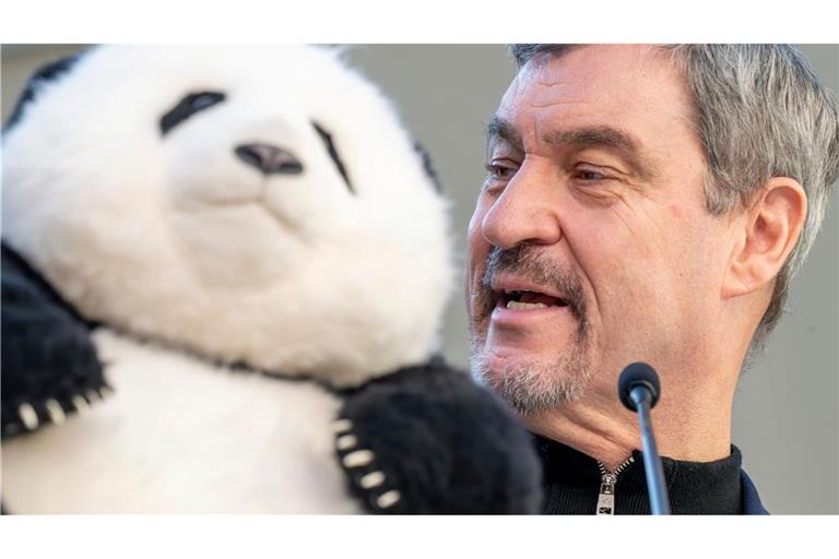 Noch hat Söder (r) nur einen Plüschbären in seinem Büro, doch spätestens 2028 soll es echte Tiere in München geben.