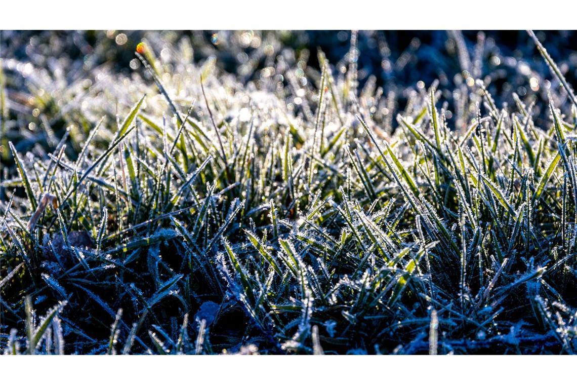 Warmfront weckt Vorfreude auf den Frühling Noch ist es frostig, doch es nähert sich eine Warmfront.