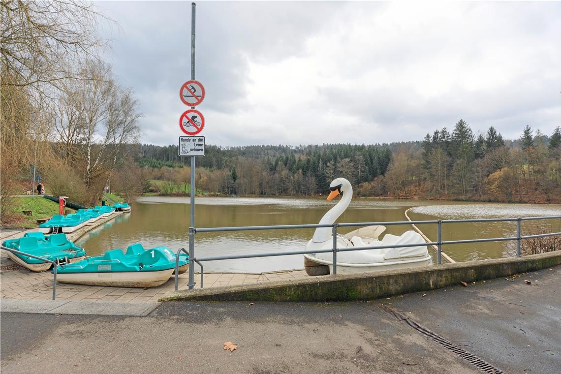 Noch ist es ruhig am Waldsee. Für die Saison laufen aber schon Arbeiten, um das Sicherheitskonzept umzusetzen, das unter anderem die Bereiche für Schwimmer und Boote trennt.