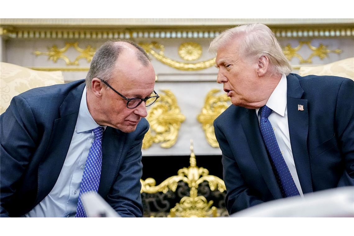 Noch vor zwei Monaten haben sich Trump und Merz ziemlich gut verstanden. (Archivbild)