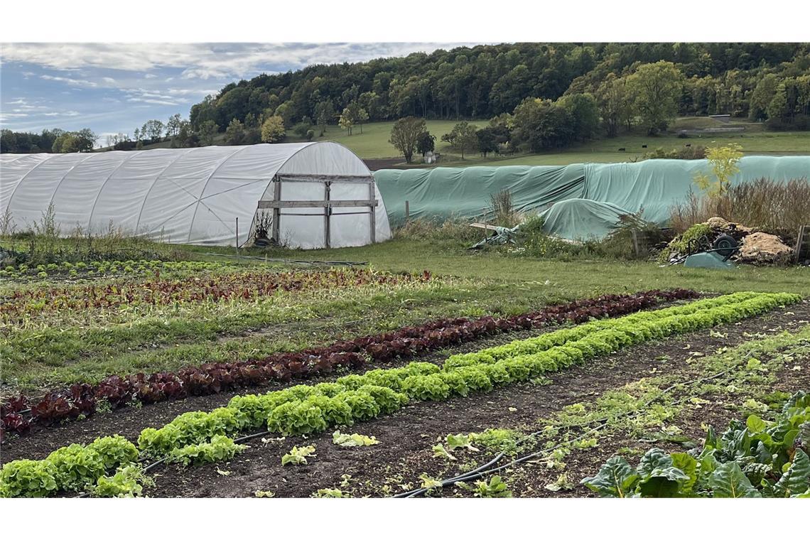 Was blüht der deutschen Landwirtschaft? Noch wird in der deutschen Landwirtschaft nur wenig bewässert – doch der Trend ist klar: Es wird immer mehr.