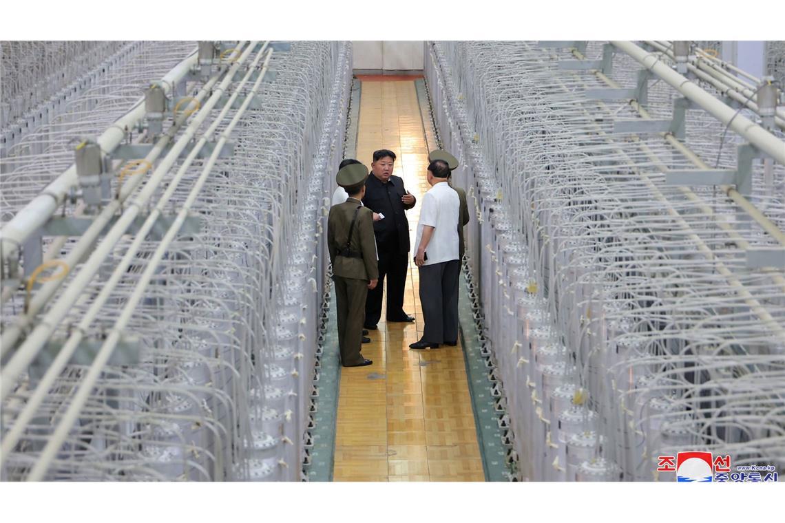 Nordkoreas Machthaber Kim lässt sich gern vor eindrucksvollen Kulissen fotografieren. (Archivfoto)