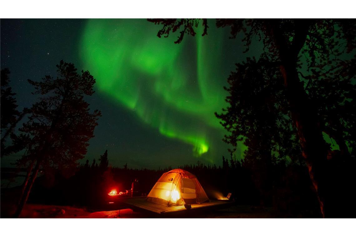 Nordlichter, auch bekannt als Aurora Borealis, sind am frühen Morgen am Himmel über einem Zelt in der Nähe von Yellowknife in Kanada zu sehen.