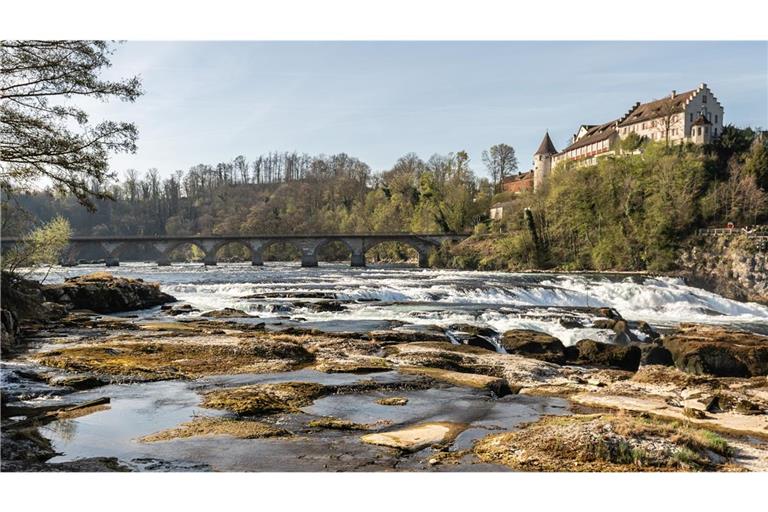 Normalerweise beeindruckt der Rheinfall  mit tobenden Wassermassen. Aber seit Wochen fehlen die Niederschläge, der Wasserstand am Rhein ist extrem niedrig und entsprechend karg zeigt sich das Gelände.