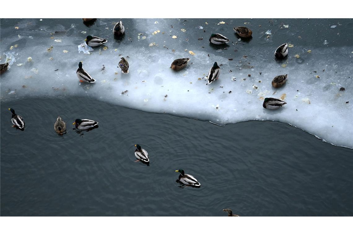 Nun steht vor allem dem Osten Deutschlands Glatteis-Gefahr bevor.