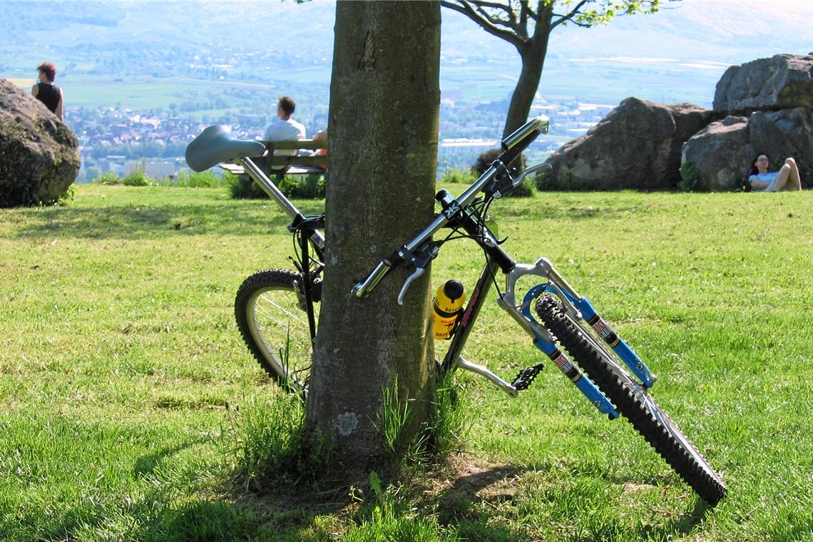 Ob Radler, Wanderer oder Spaziergänger: Q-vadis will alle Interessensgruppen in der Region bedienen. Foto/Grafik: Schwäbischer Wald Tourismus