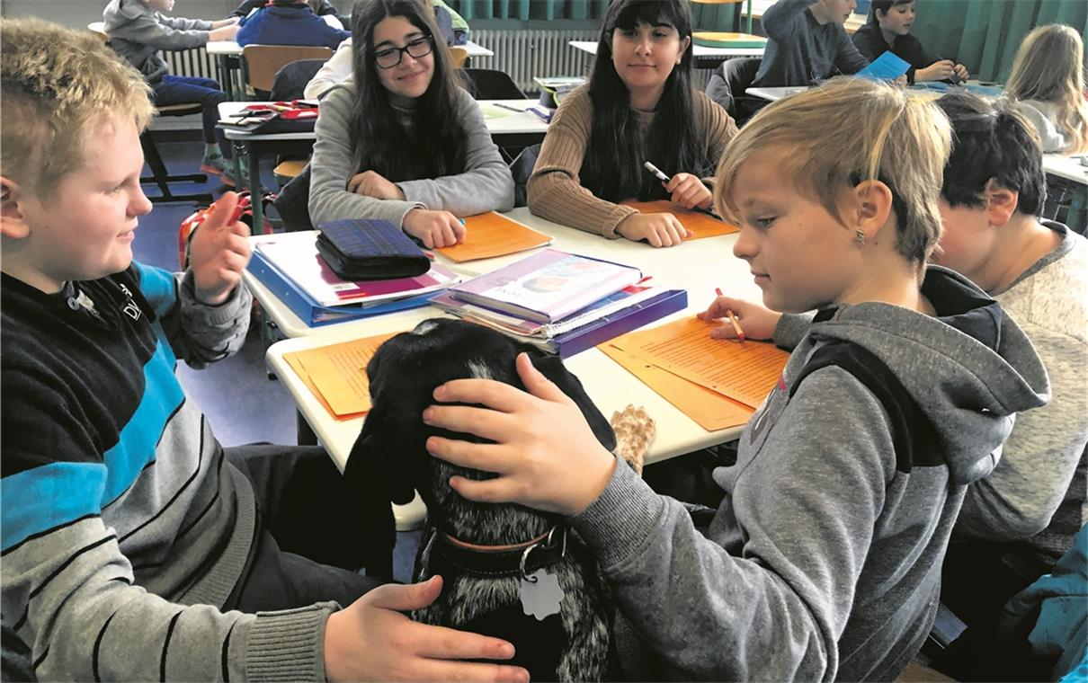 Offensichtlich: Die Mädchen und Jungen haben Schulhündin Ronja ins Herz geschlossen. Foto: privat