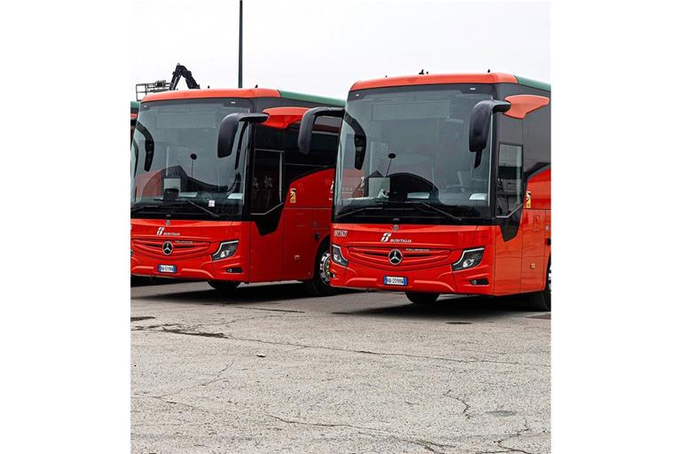 Ohne sie geht bei Olympia gar nichts: die Busse in Cortina