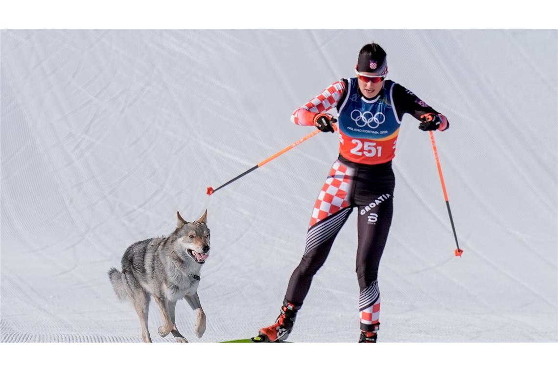 Olympia, Olympische Winterspiele Mailand Cortina 2026, Ski nordisch/Langlauf, Team Sprint Freistil, Frauen, Qualifikation, ein Hund läuft hinter Tena Hadzic (Kroatien) her.