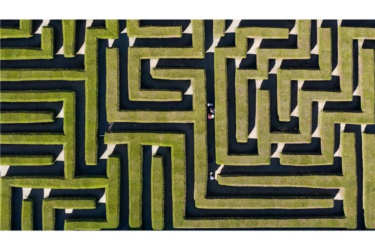 Orientierungssinn gefragt: Besucher gehen durch einen Irrgarten zwischen Thuja-Hecken-Pflanzen.