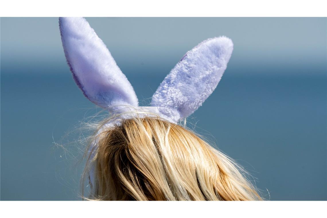 Bilder des Tages "Osterhasen-Ohren" im Seebad Zinnowitz