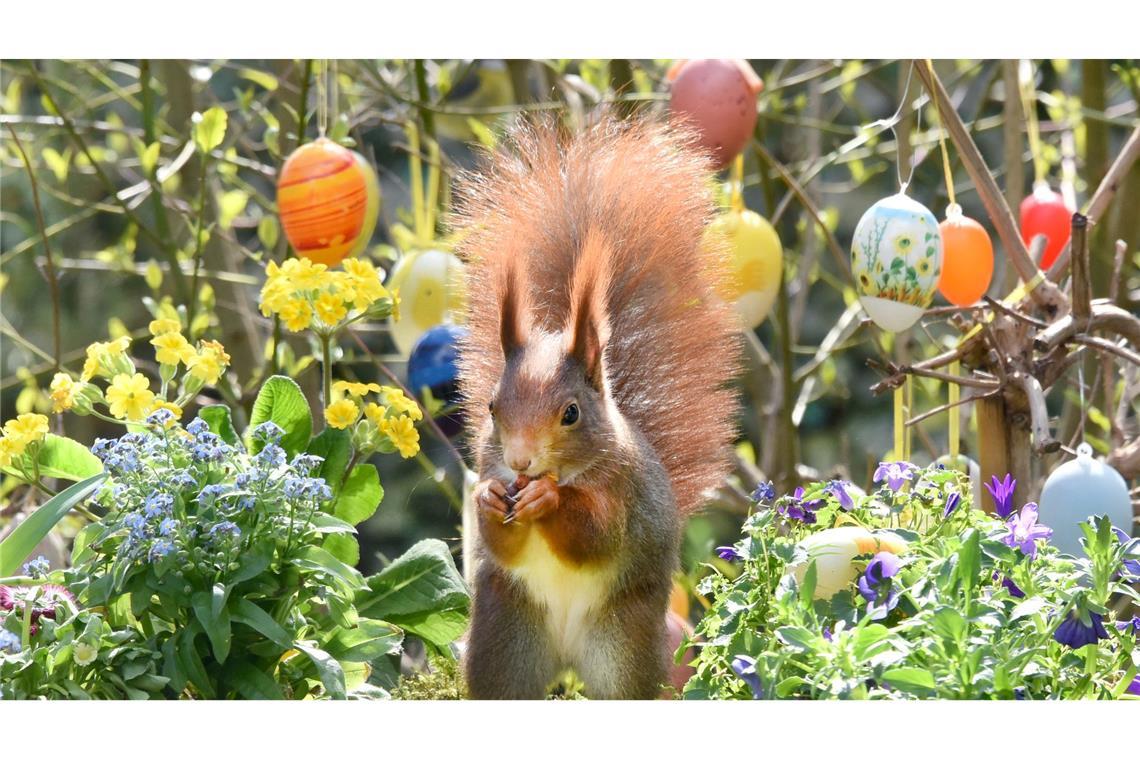 Ostern steht vor der Tür. (Archivbild)