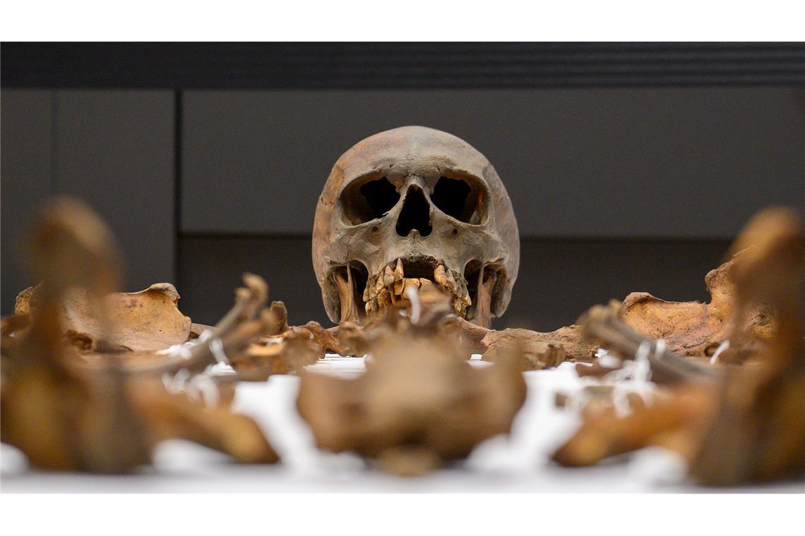 Otto der Große im Hörsaal der Uni Mainz: Neue Erkenntnisse aus seinem Grab vorgestellt