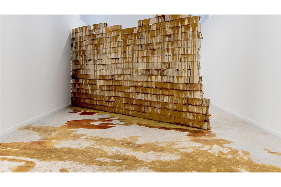 Kunst im Dienst vernebelter Thesen Ouassila Arras arbeitet immer wieder mit dem Thema der Mauer.