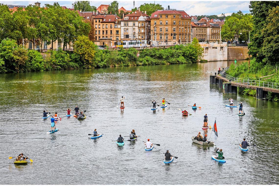Paddeln auf dem Neckar am Sonntagmittag