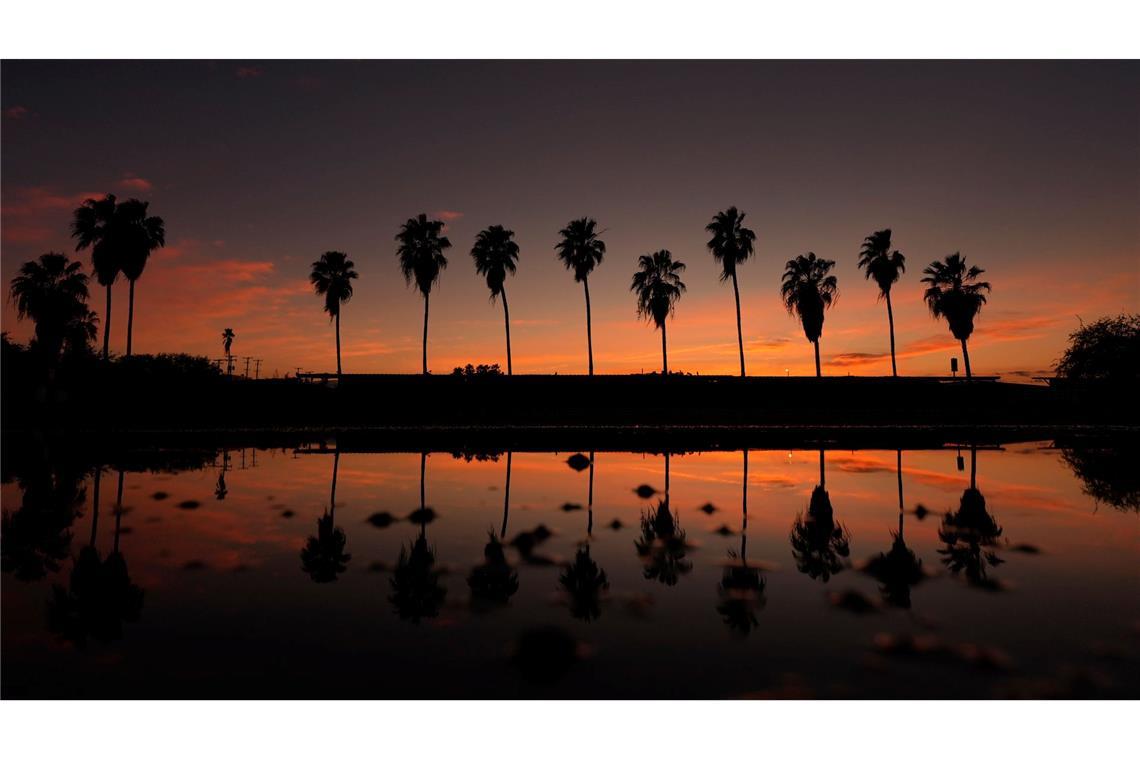 Bilder des Tages Palmen spiegeln sich bei Sonnenuntergang an der US-Grenze zu Mexiko in einem Gewässer.